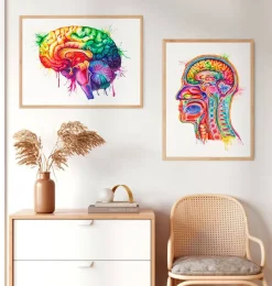 Codex Anatomicus Brain Anatomy^Brain anatomy art - Watercolor splash