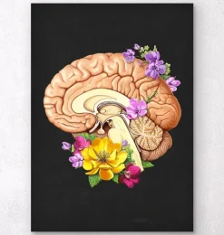 Codex Anatomicus Brain Anatomy^Brain anatomy II - Floral - Black