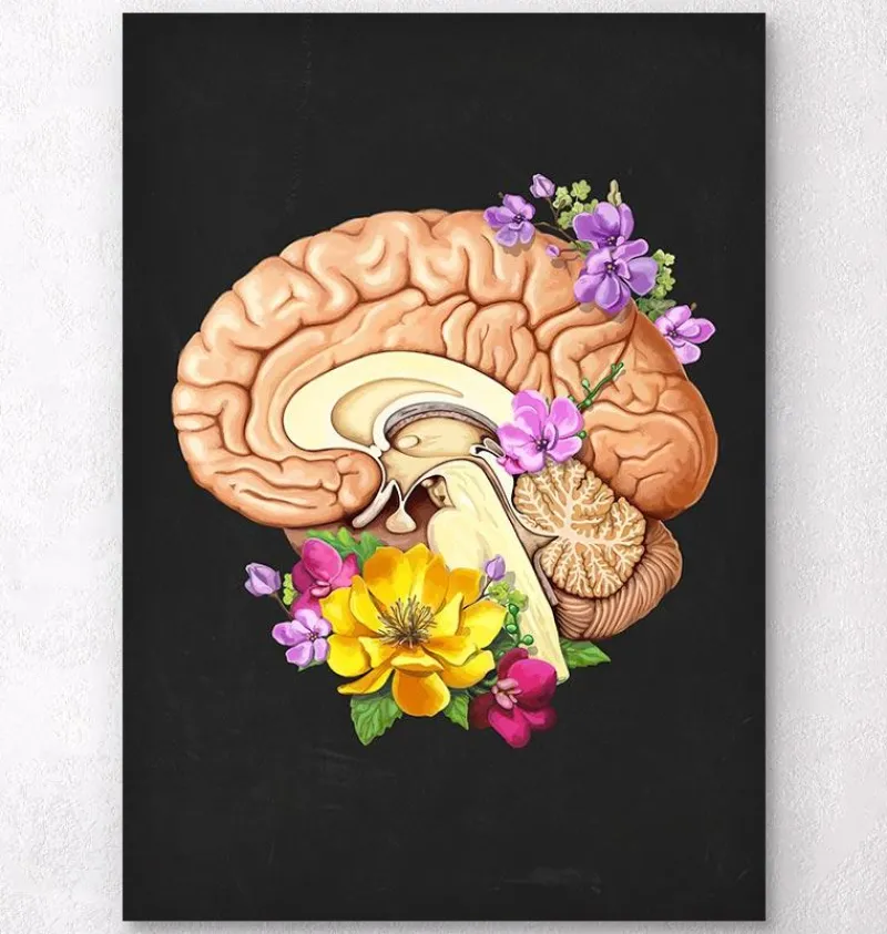 Codex Anatomicus Brain Anatomy^Brain anatomy II - Floral - Black