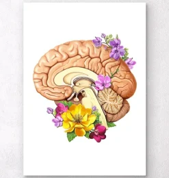 Codex Anatomicus Brain Anatomy^Brain anatomy II - Floral - White