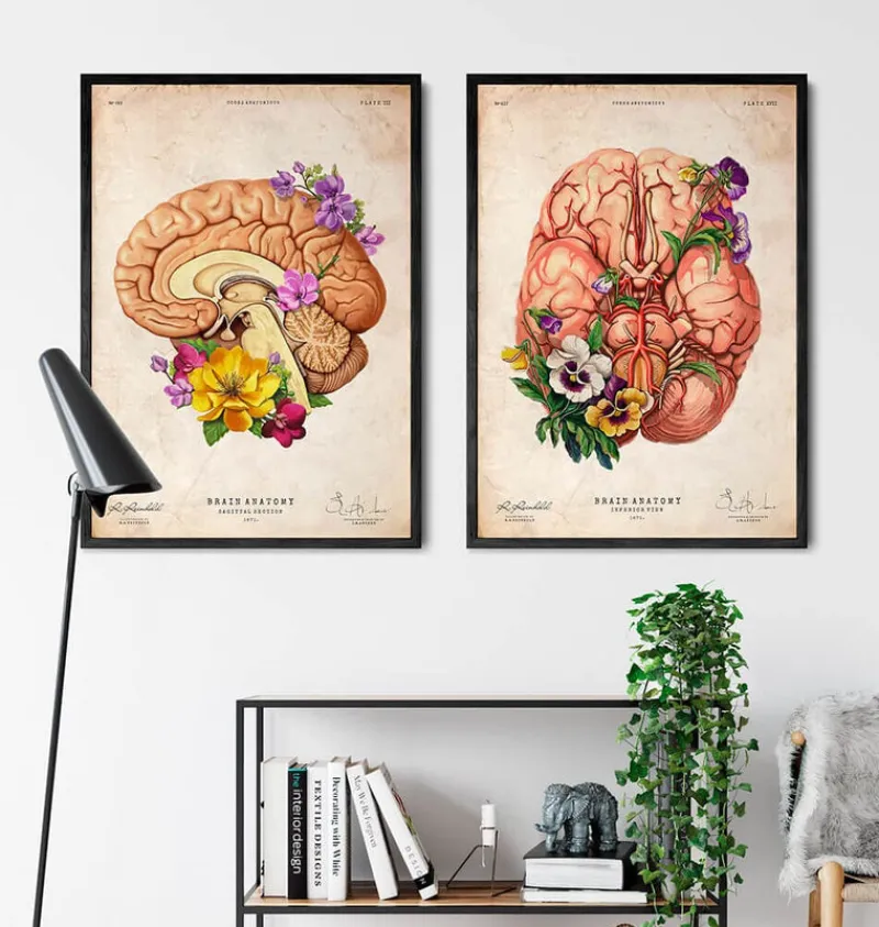 Codex Anatomicus Brain Anatomy^Brain anatomy II - Floral - Vintage