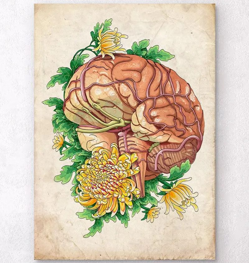 Codex Anatomicus Brain Anatomy^Brain anatomy III - Floral - Vintage