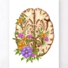 Codex Anatomicus Brain Anatomy^Brain anatomy III - Floral - White