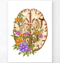Codex Anatomicus Brain Anatomy^Brain anatomy III - Floral - White