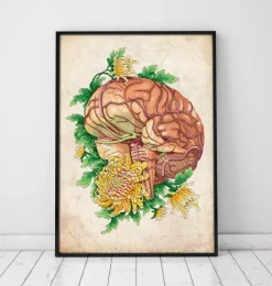 Codex Anatomicus Brain Anatomy^Brain anatomy III - Floral - Vintage