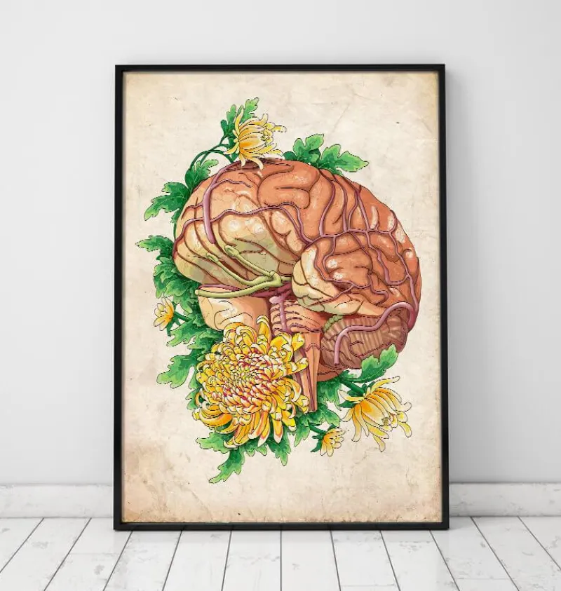 Codex Anatomicus Brain Anatomy^Brain anatomy III - Floral - Vintage