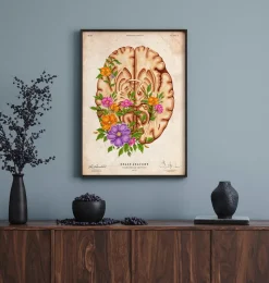 Codex Anatomicus Brain Anatomy^Brain anatomy III - Floral - Vintage