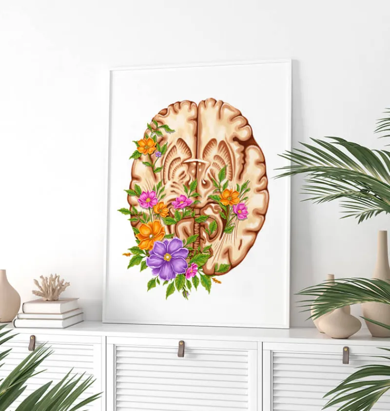 Codex Anatomicus Brain Anatomy^Brain anatomy III - Floral - White