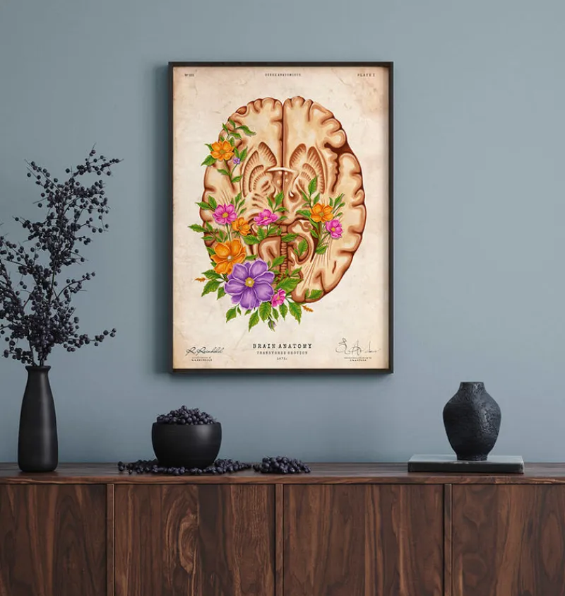 Codex Anatomicus Brain Anatomy^Brain anatomy III - Floral - Vintage