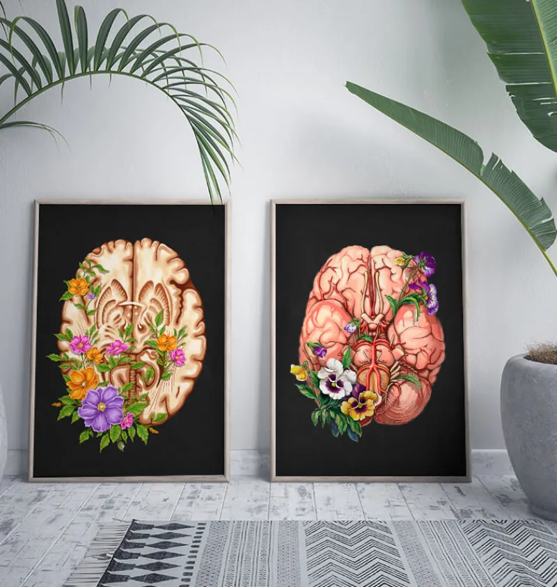 Codex Anatomicus Brain Anatomy^Brain anatomy III - Floral - Black