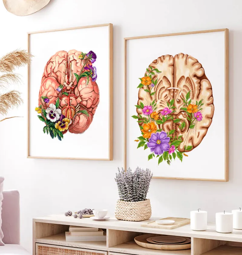 Codex Anatomicus Brain Anatomy^Brain anatomy III - Floral - White