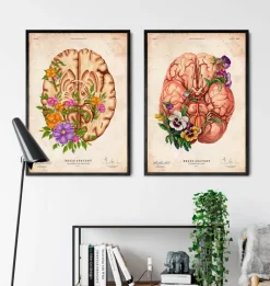 Codex Anatomicus Brain Anatomy^Brain anatomy III - Floral - Vintage