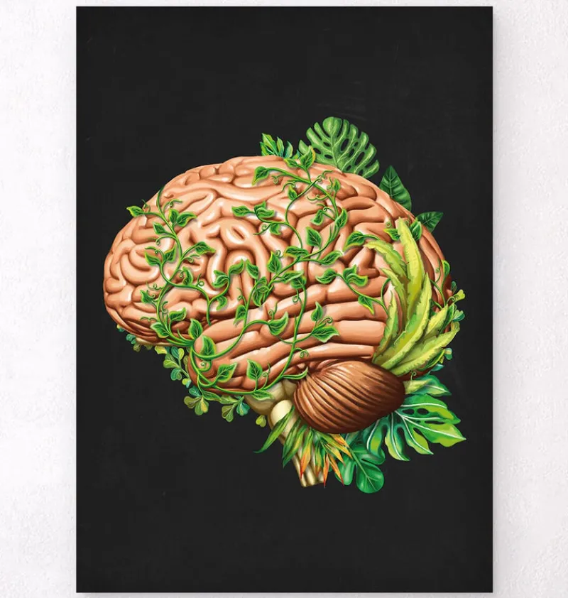 Codex Anatomicus Brain Anatomy^Brain anatomy IV - Floral - Black