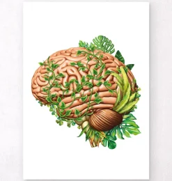 Codex Anatomicus Brain Anatomy^Brain anatomy IV - Floral - White