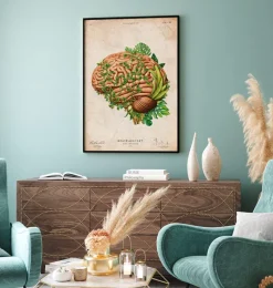 Codex Anatomicus Brain Anatomy^Brain anatomy IV - Floral - Vintage