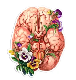 Codex Anatomicus Stickers^Brain anatomy sticker - Floral