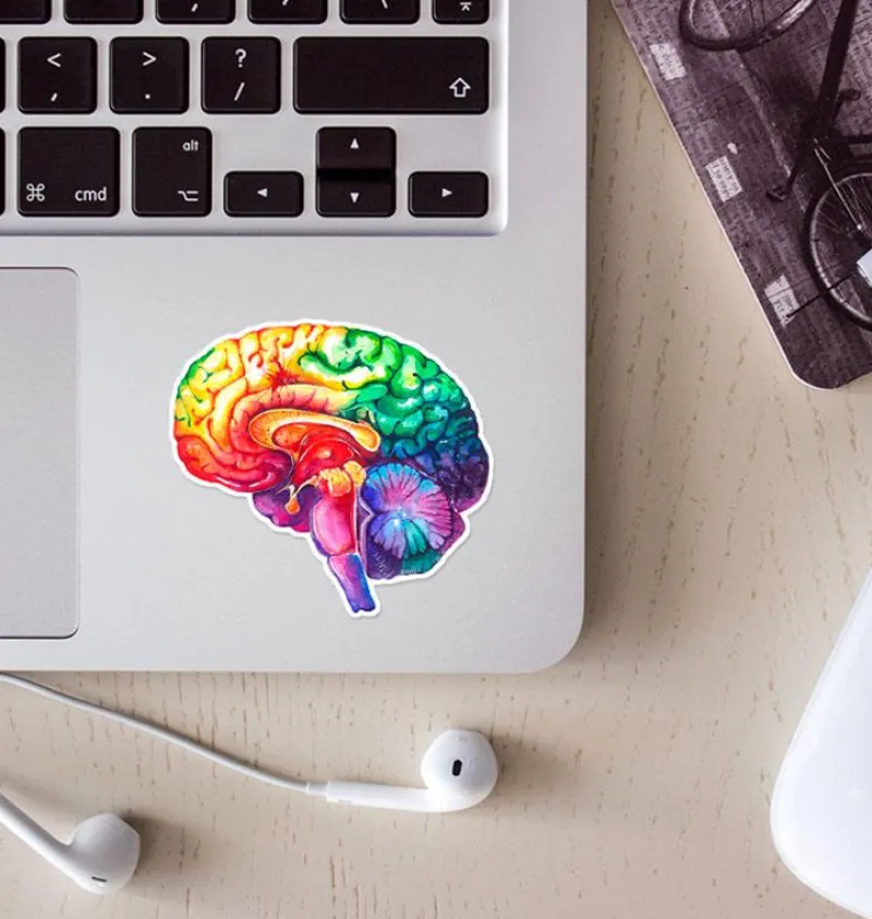 Codex Anatomicus Stickers^Brain anatomy sticker - Watercolor Splash