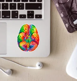 Codex Anatomicus Stickers^Brain anatomy sticker II - Watercolor Splash