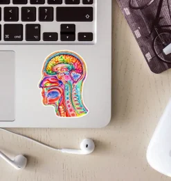 Codex Anatomicus Stickers^Brain anatomy sticker III - Watercolor Splash