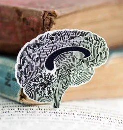 Codex Anatomicus Enamel Pins^Brain chalkboard - Enamel pin