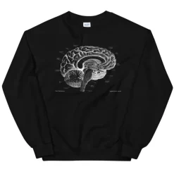 Codex Anatomicus Sweatshirts^Brain I Unisex Sweatshirt - Chalkboard