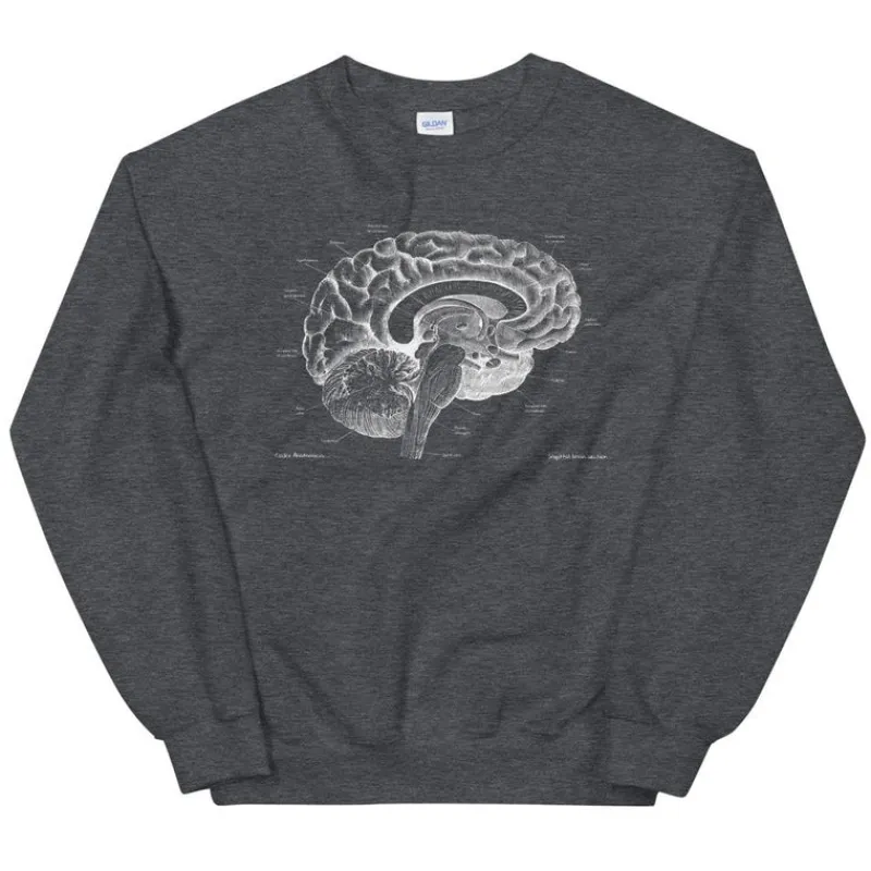 Codex Anatomicus Sweatshirts^Brain I Unisex Sweatshirt - Chalkboard