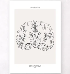Codex Anatomicus Brain Anatomy^Brain section - Line Art