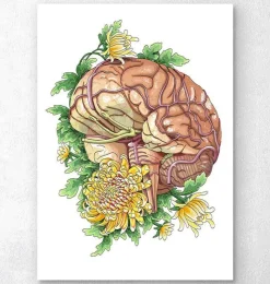 Codex Anatomicus Brain Anatomy^Brain with flowers