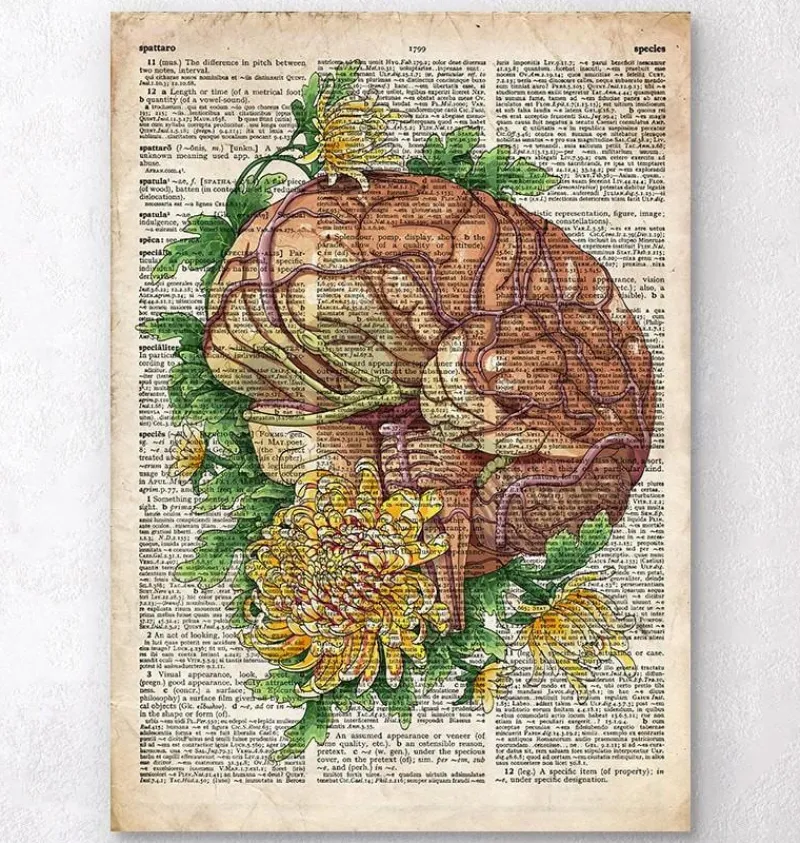 Codex Anatomicus Brain Anatomy^Brain with flowers - Old dictionary page