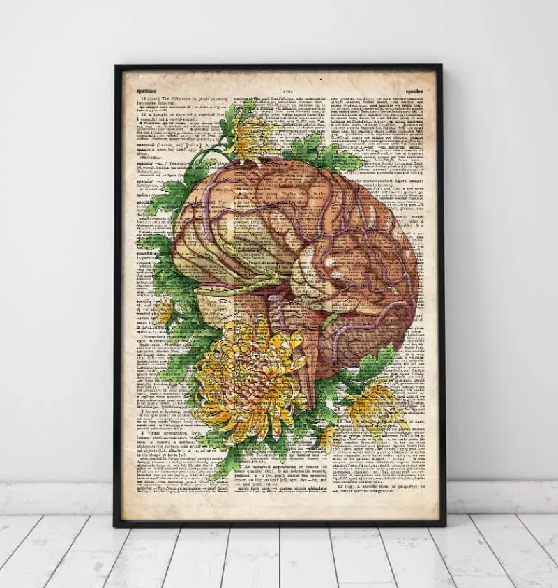 Codex Anatomicus Brain Anatomy^Brain with flowers - Old dictionary page
