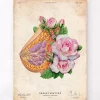 Codex Anatomicus Obstetrics & Gynecology^Breast anatomy - Floral - Vintage
