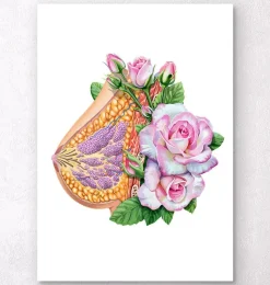 Codex Anatomicus Obstetrics & Gynecology^Breast anatomy - Floral - White