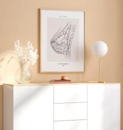 Codex Anatomicus Obstetrics & Gynecology^Breast anatomy - Line Art