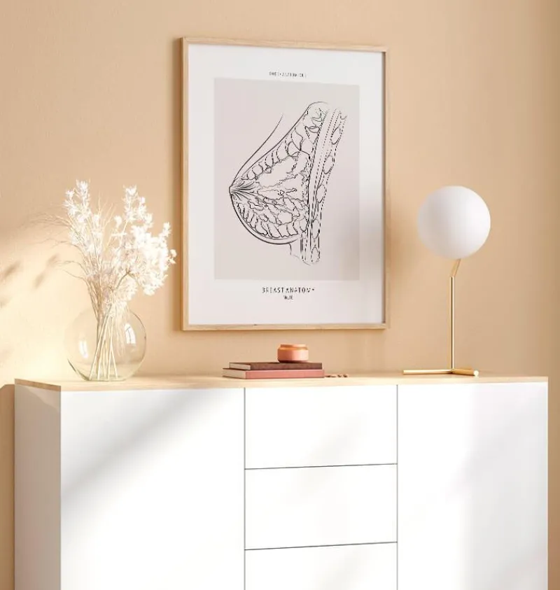 Codex Anatomicus Obstetrics & Gynecology^Breast anatomy - Line Art
