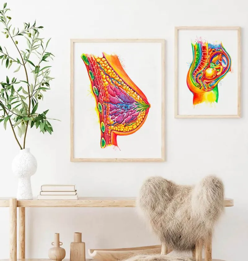 Codex Anatomicus Obstetrics & Gynecology^Breast anatomy art - Watercolor splash
