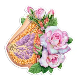 Codex Anatomicus Stickers^Breast anatomy sticker - Floral