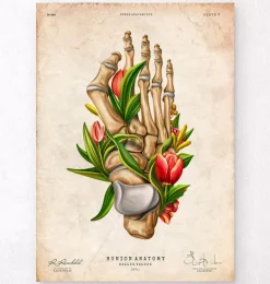 Codex Anatomicus Skull & Skeleton | Hands & Legs^Bunion anatomy - Floral - Vintage