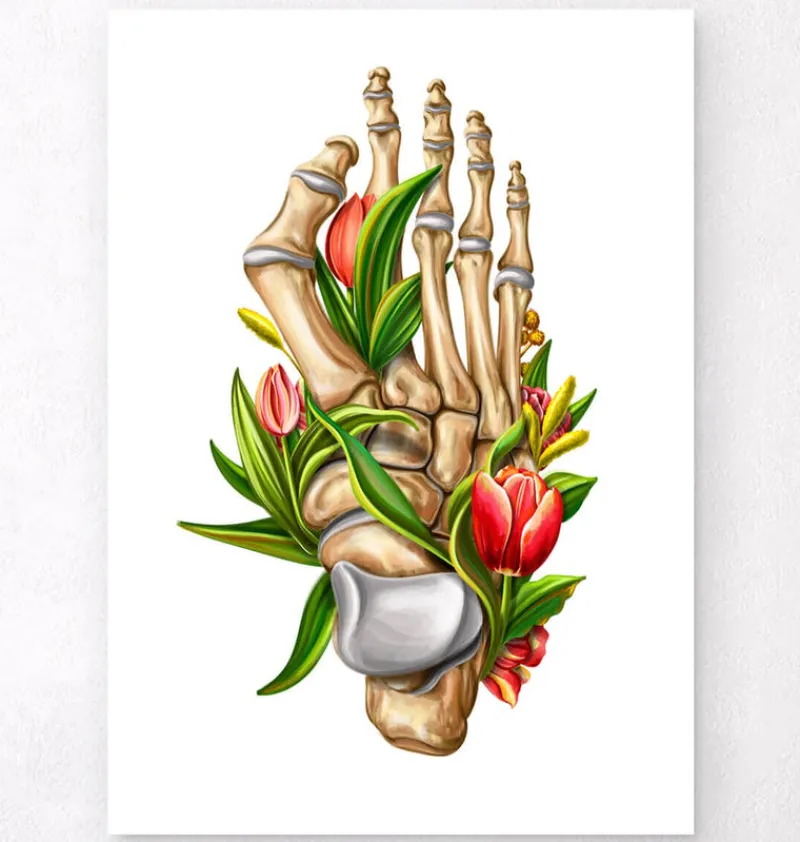 Codex Anatomicus Skull & Skeleton | Hands & Legs^Bunion anatomy - Floral - White