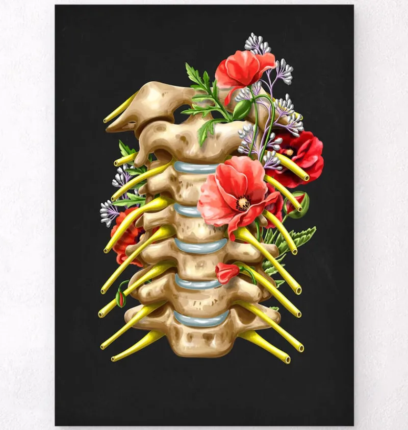 Codex Anatomicus Skull & Skeleton^Cervical nerves - Floral - Black