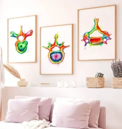 Codex Anatomicus Skull & Skeleton^Cervical vertebra - Watercolor splash