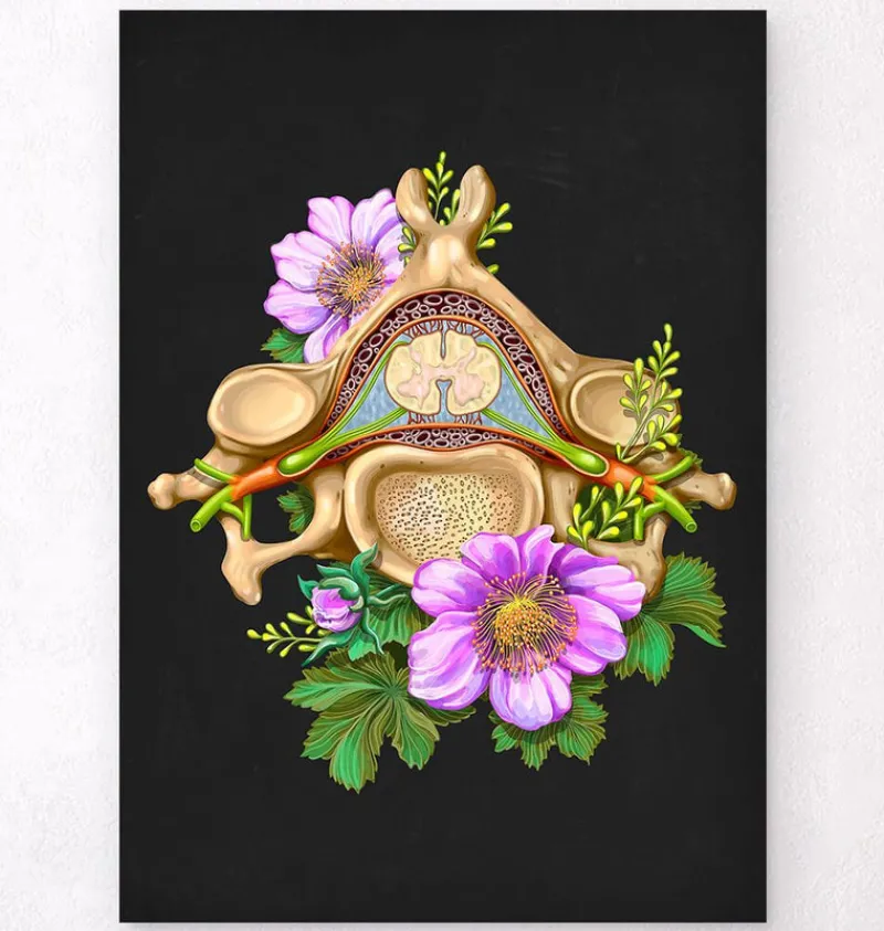 Codex Anatomicus Skull & Skeleton^Cervical vertebrae - Floral - Black
