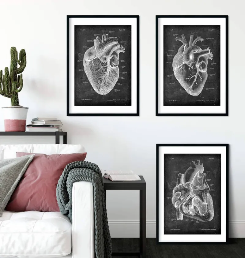 Codex Anatomicus Heart Anatomy^Chalkboard Heart Anatomy - Set of 3
