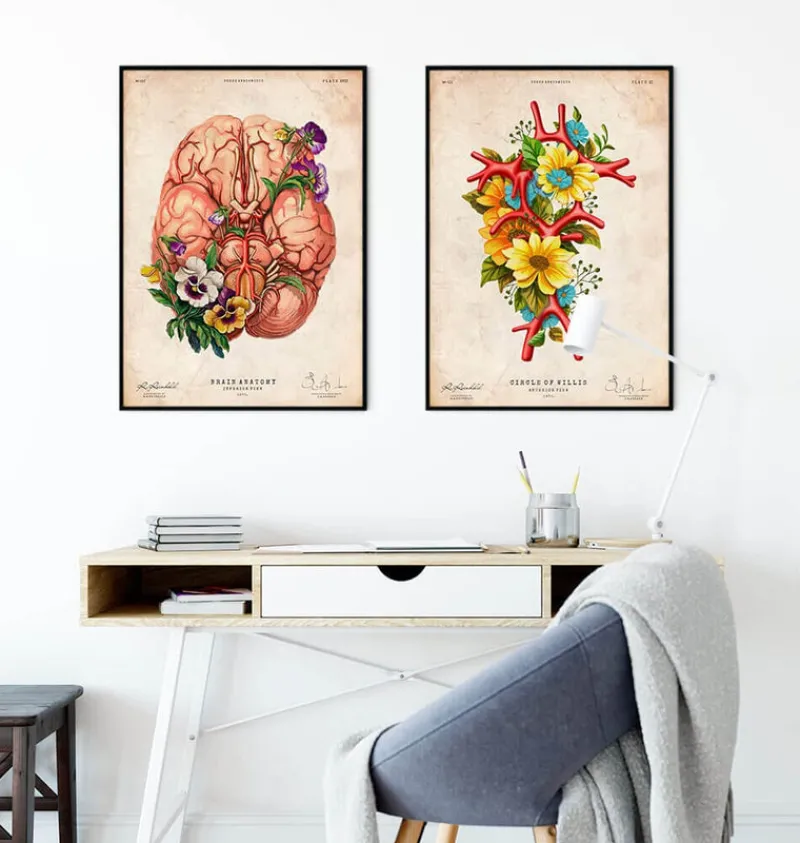 Codex Anatomicus Brain Anatomy^Circle of Willis - Floral - Vintage