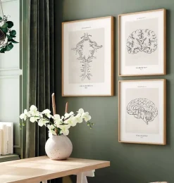 Codex Anatomicus Brain Anatomy^Circle of Willis - Line Art