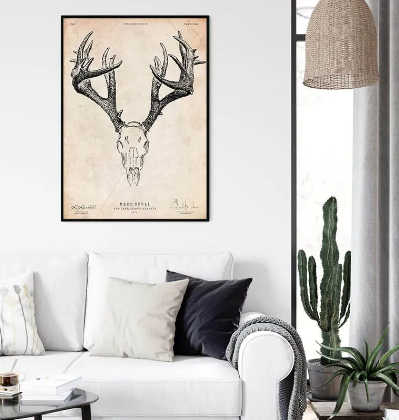 Codex Anatomicus Animal Anatomy^Deer skull print