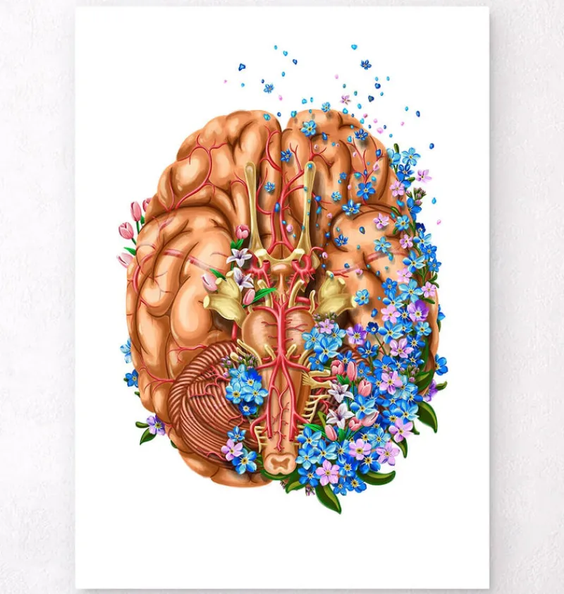 Codex Anatomicus Brain Anatomy^Dementia - Floral - White