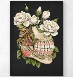 Codex Anatomicus Dental Anatomy^Dental anatomy - Floral - Black
