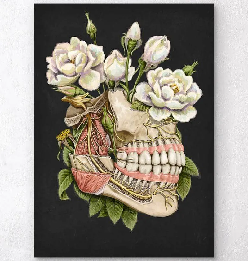 Codex Anatomicus Dental Anatomy^Dental anatomy - Floral - Black