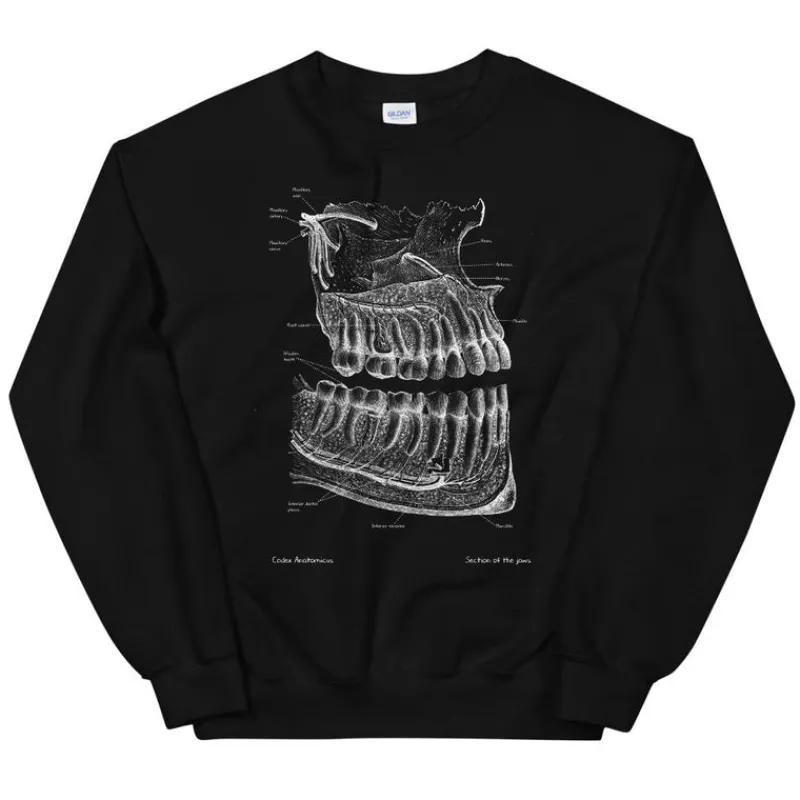 Codex Anatomicus Sweatshirts^Dental Unisex Sweatshirt - Chalkboard