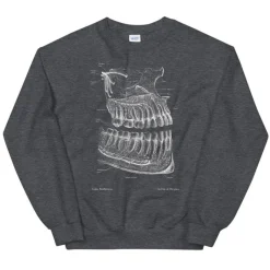 Codex Anatomicus Sweatshirts^Dental Unisex Sweatshirt - Chalkboard